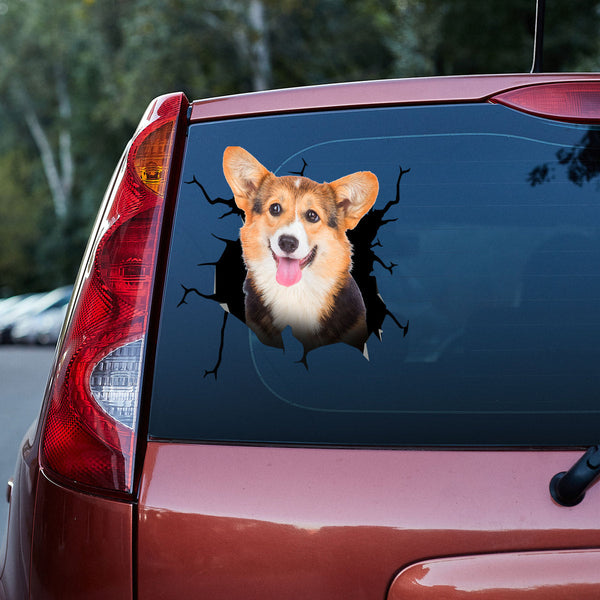 Pembroke Corgi Dog Cracked Car Decal Sticker | Waterproof | PVC Vinyl | CCS5168-Colorful-Gerbera Prints.