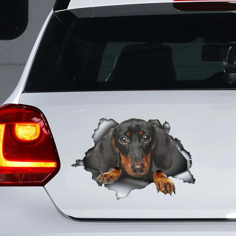 Dachshund Dog Vinyl Car Decals & Stickers – Gerbera Prints