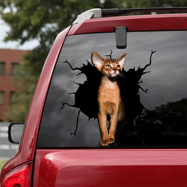 Cat Lover Cracked Car Decal Sticker | Waterproof | PVC Vinyl | CCS1025