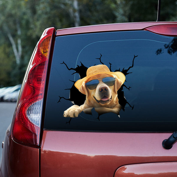 Aloha Funny Dog With Sunglasses  3D Vinyl Car Decal Stickers CS8041
