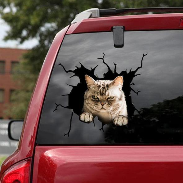 Cats Lover Cracked Car Decal Sticker | Waterproof | PVC Vinyl | CCS1934