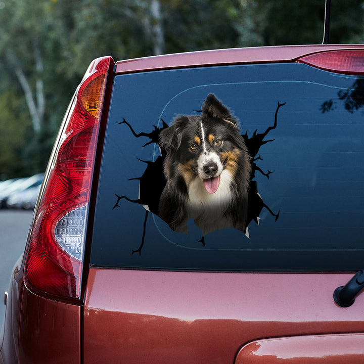 Australian Shepard Funny Dog Cracked Car Decal Sticker | Waterproof | PVC Vinyl | CCS5301-Colorful-Gerbera Prints.
