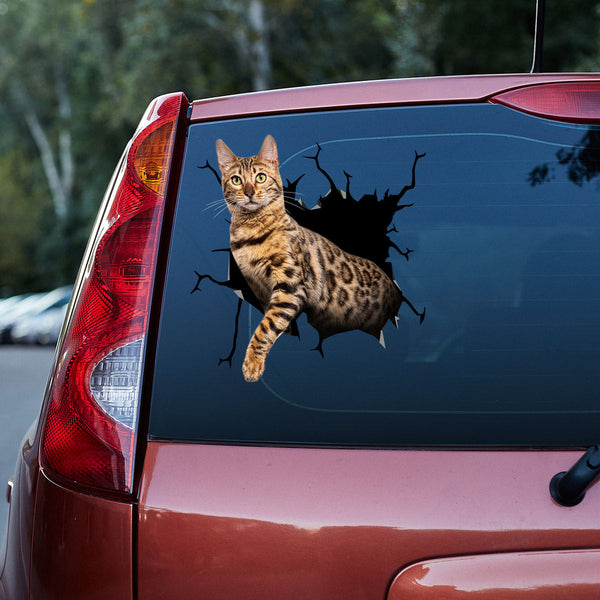 Bengal Cat Cracked Car Decal Sticker | Waterproof | PVC Vinyl | CCS5031-Colorful-Gerbera Prints.