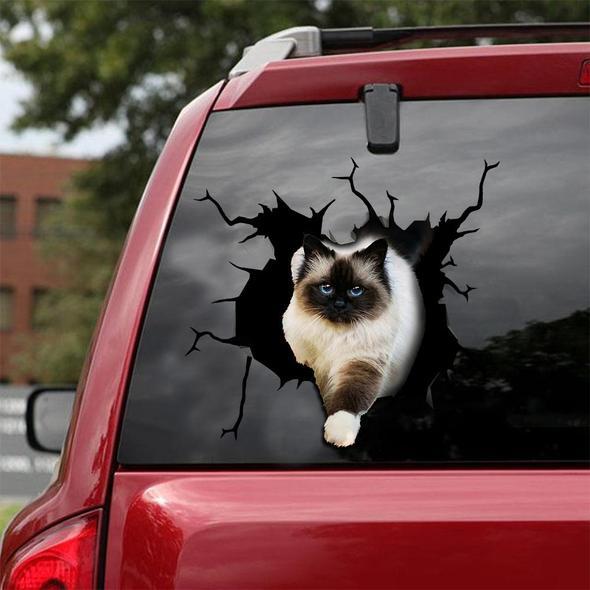 Cats Lover Cracked Car Decal Sticker | Waterproof | PVC Vinyl | CCS1737