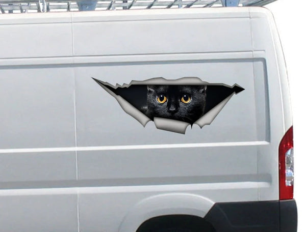 Black Cat Cracked Car Decal Sticker | Waterproof | PVC Vinyl | CCS2708-Gerbera Prints.