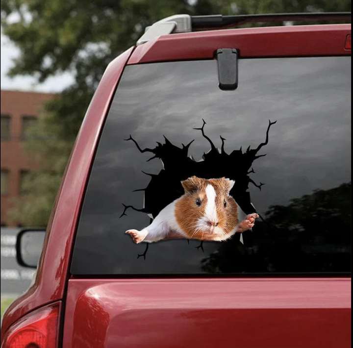 Funny Guinea Pig 3D Vinyl Car Decal Sticker