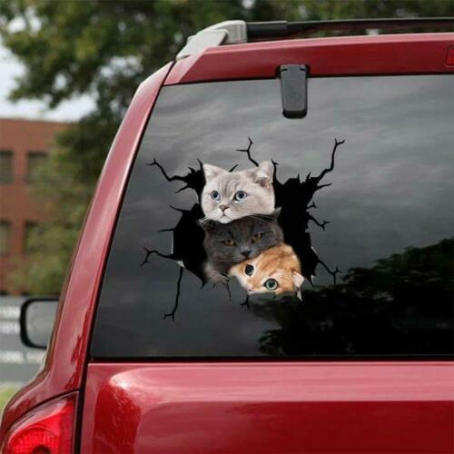 Three Cats 3D Vinyl Car Decal Sticker