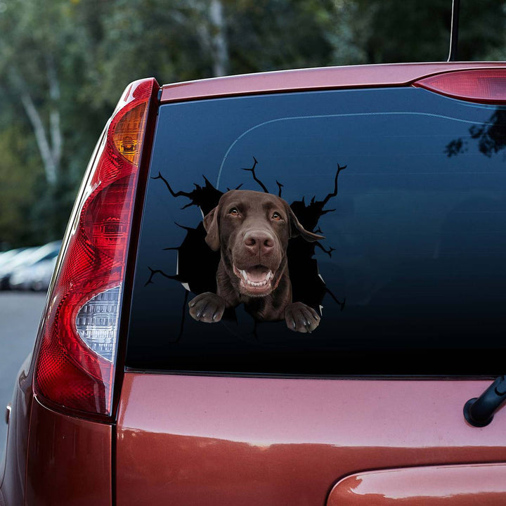 Funny Chocolate Labrador Retriever Dog3D Vinyl Car Decal Sticker