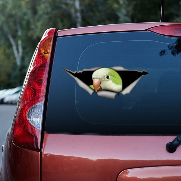 Parrot 3D Vinyl Car Decal Sticker