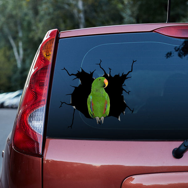 Eclectus Parrot 3D Vinyl Car Decal Sticker