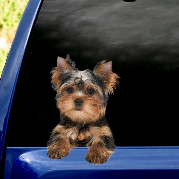 Funny Yorkshire Terriers Dog 3D Vinyl Car Decal Sticker