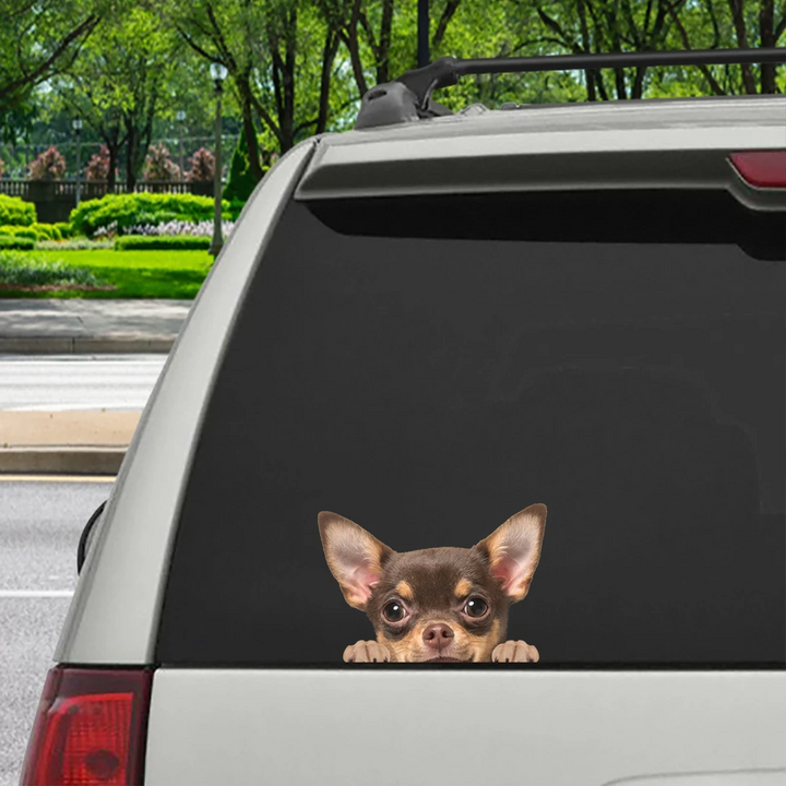 Funny Chihuahua Dog 3D Vinyl Car Decal Sticker