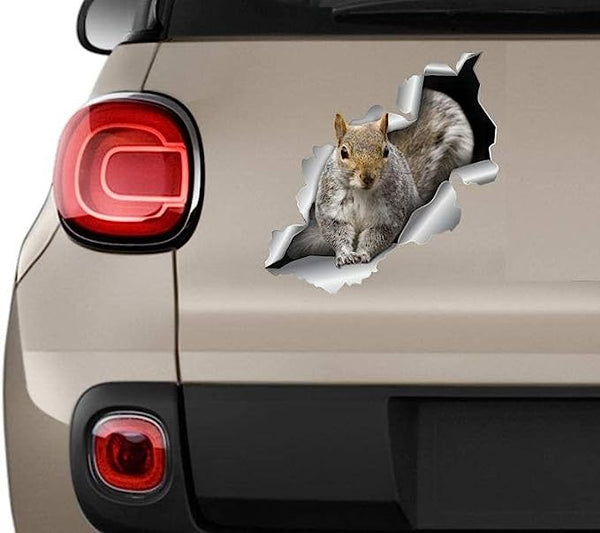 Squirrel 3D Vinyl Car Decal Sticker