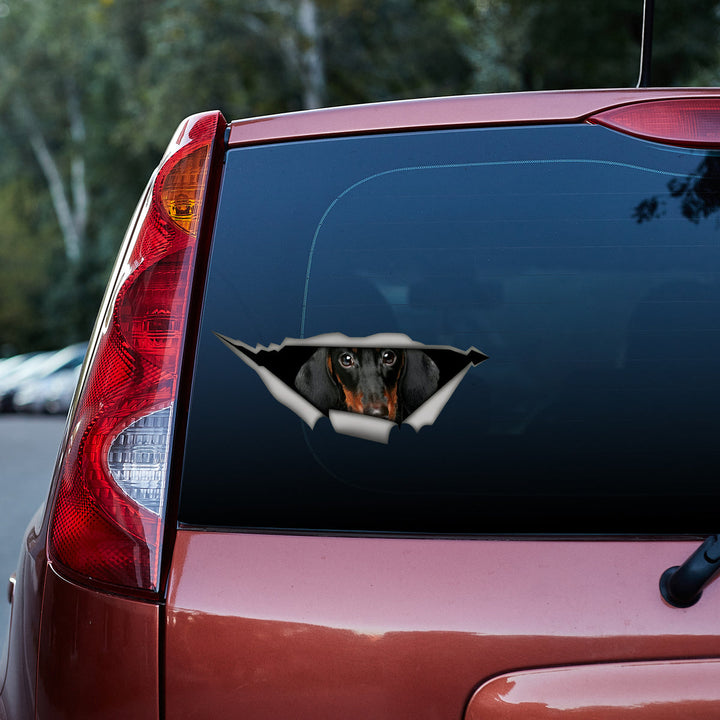 Funny Dachshund Dog 3D Vinyl Car Decal Sticker