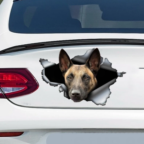 Funny Belgian Malinois Dog 3D Vinyl Car Decal Sticker