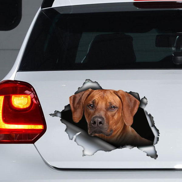 Funny Rhodesian Ridgeback Dog 3D Vinyl Car Decal Sticker