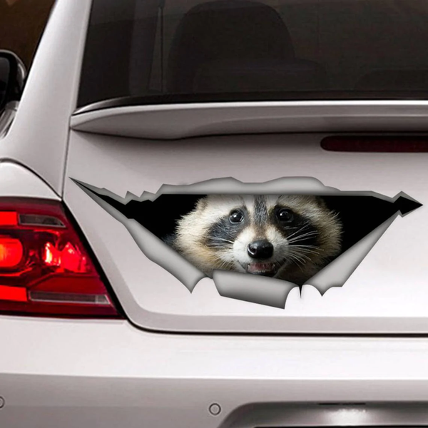 Raccoon 3D Vinyl Car Decal Sticker