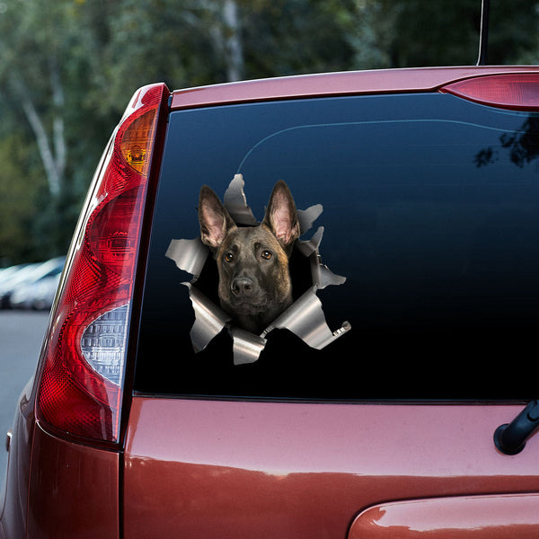 Funny Belgian Malinois Dog 3D Vinyl Car Decal Sticker