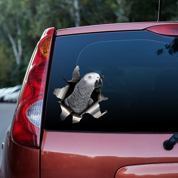 African Grey 3D Vinyl Car Decal Sticker