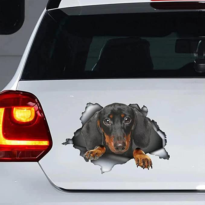 Funny Dachshund Dog 3D Vinyl Car Decal Sticker