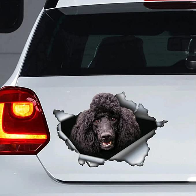 Funny Black Poodle Dog3D Vinyl Car Decal Sticker