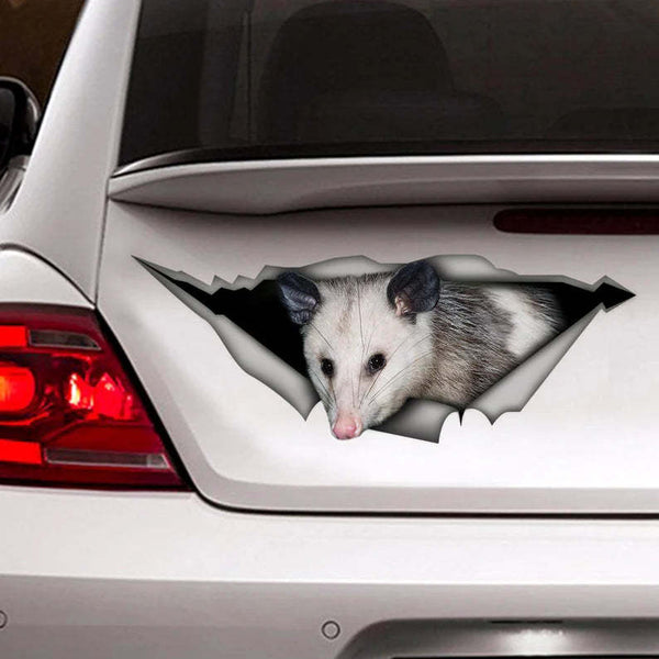 Opossum 3D Vinyl Car Decal Sticker