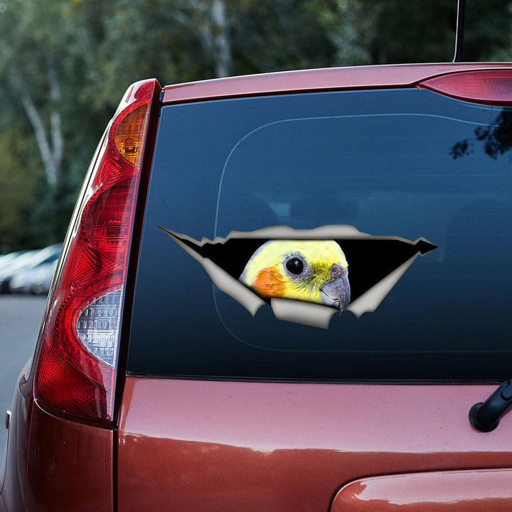 Parrot Cockatiel3D Vinyl Car Decal Sticker