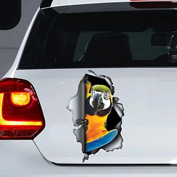 Yellow and Blue Macaw 3D Vinyl Car Decal Sticker