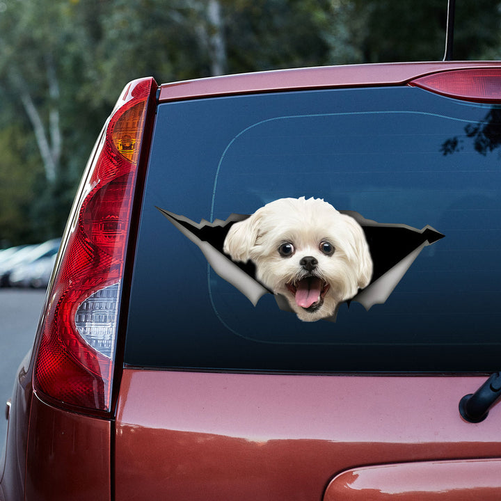 Funny White Lhasa Apso Dog 3D Vinyl Car Decal Sticker