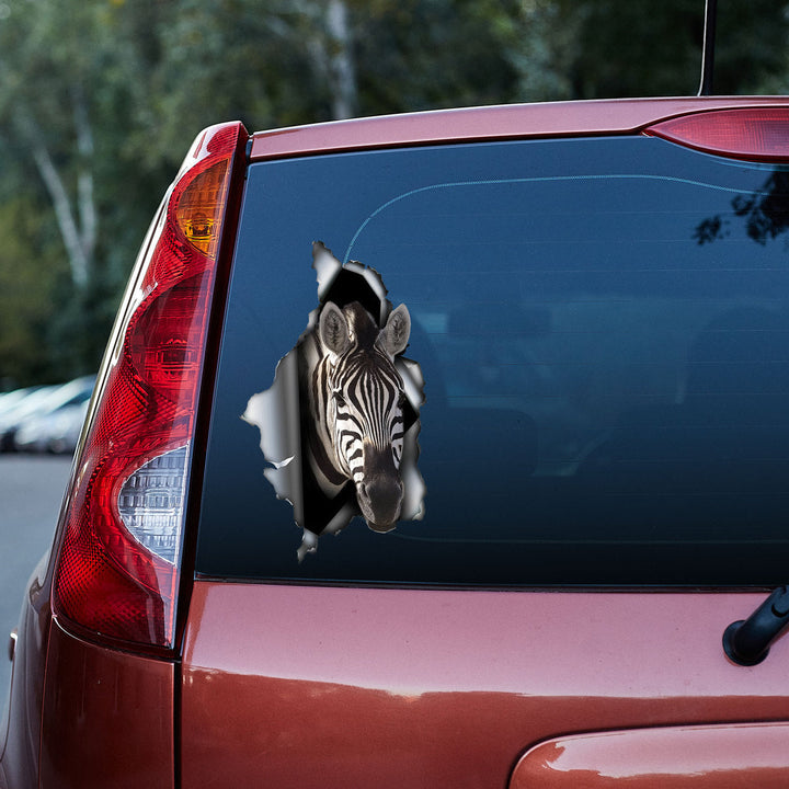 Zebra 3D Vinyl Car Decal Sticker