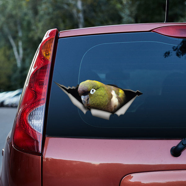 Patagonian Conure 3D Vinyl Car Decal Sticker