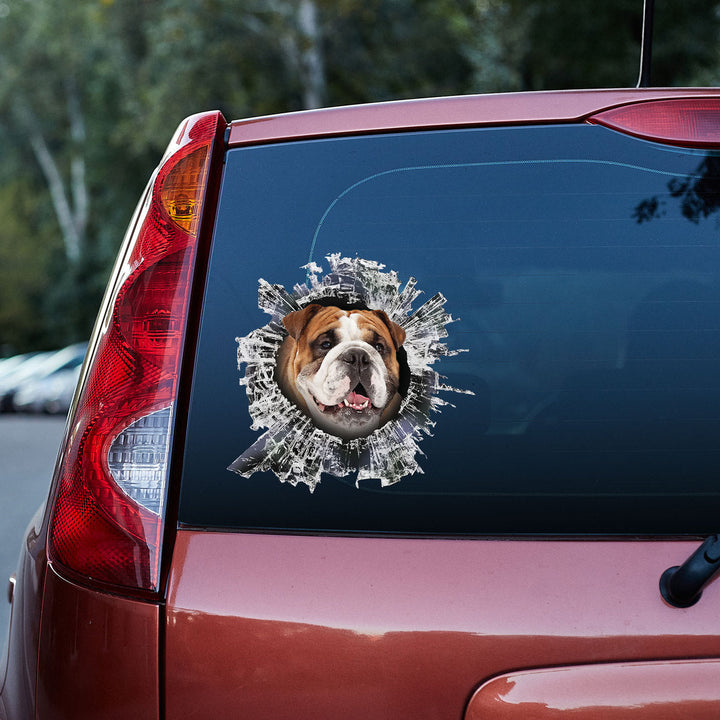 Funny English Bulldog 3D Vinyl Car Decal Sticker