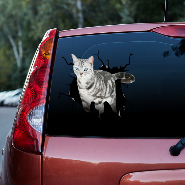 Grumpy Grey Cat 3D Vinyl Car Decal Sticker
