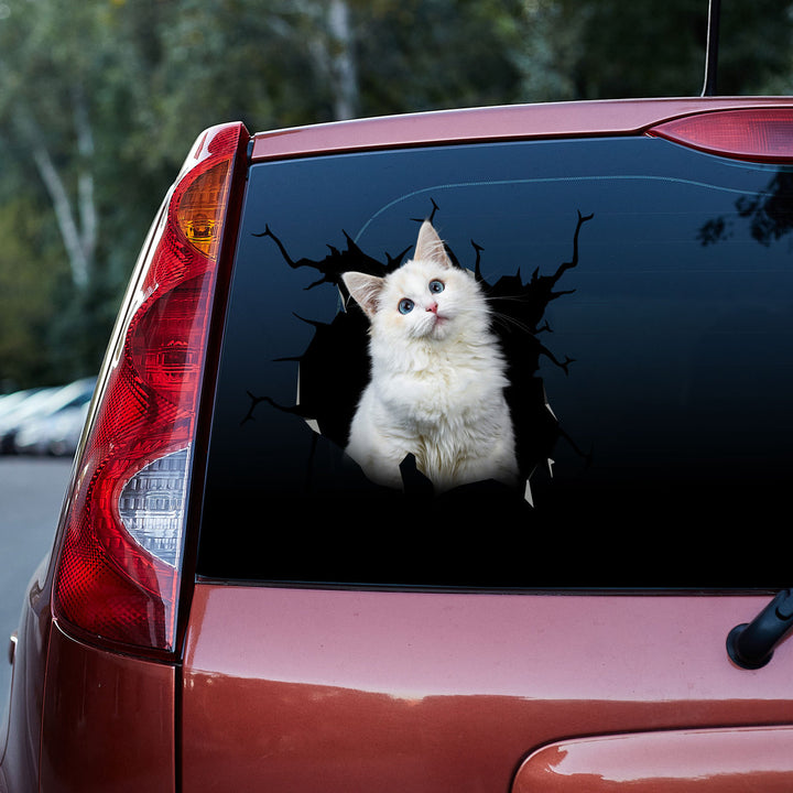 Beautiful Ragdoll Cat With Blue Eye 3D Vinyl Car Decal Sticker