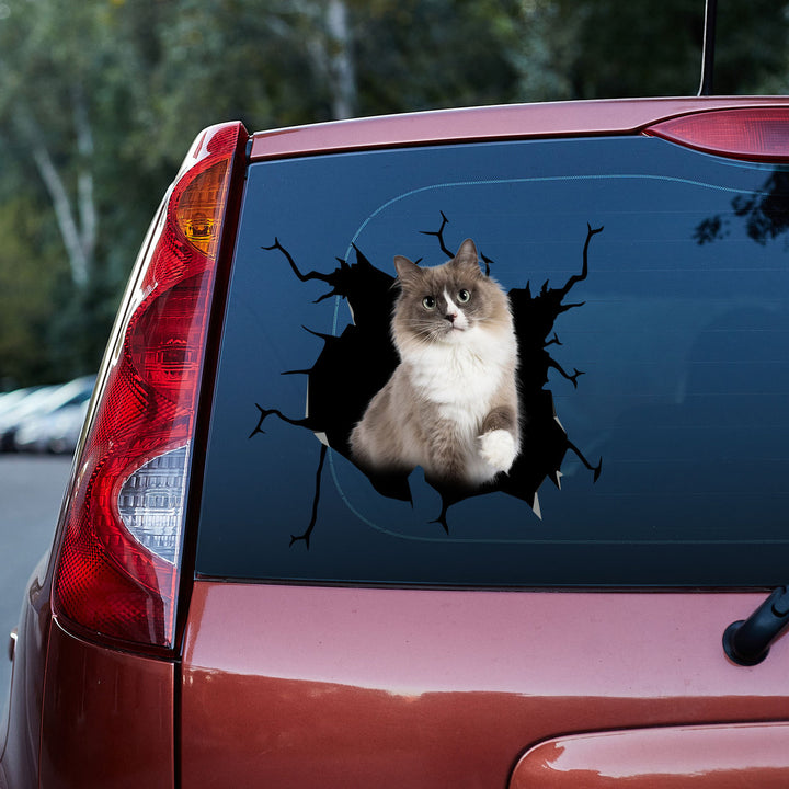 Beautiful Ragdoll Cat 3D Vinyl Car Decal Sticker