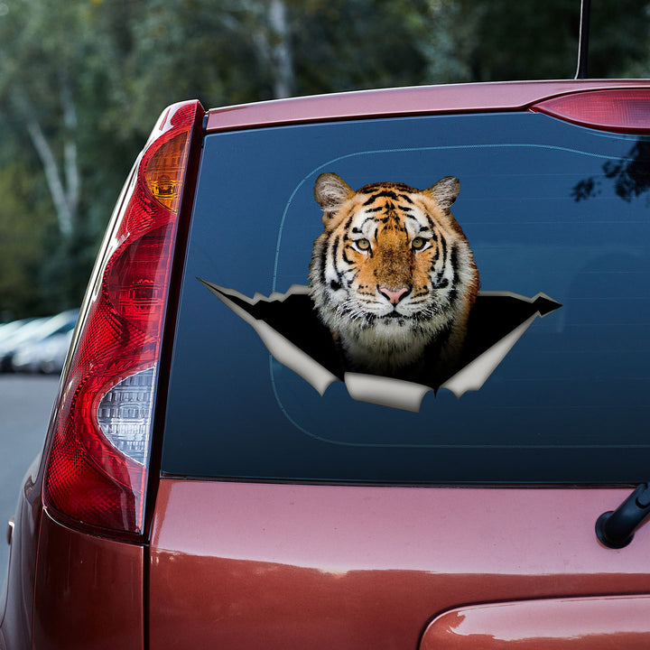 The Tiger Is Staring At You 3D Vinyl Car Decal Sticker