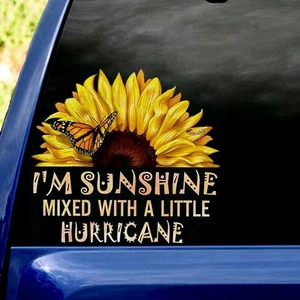 Sunshine Mixed With A Little Hurricane Vinyl Car Decal Sticker