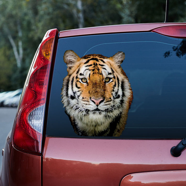 The Tiger Is Staring At You 3D Vinyl Car Decal Sticker