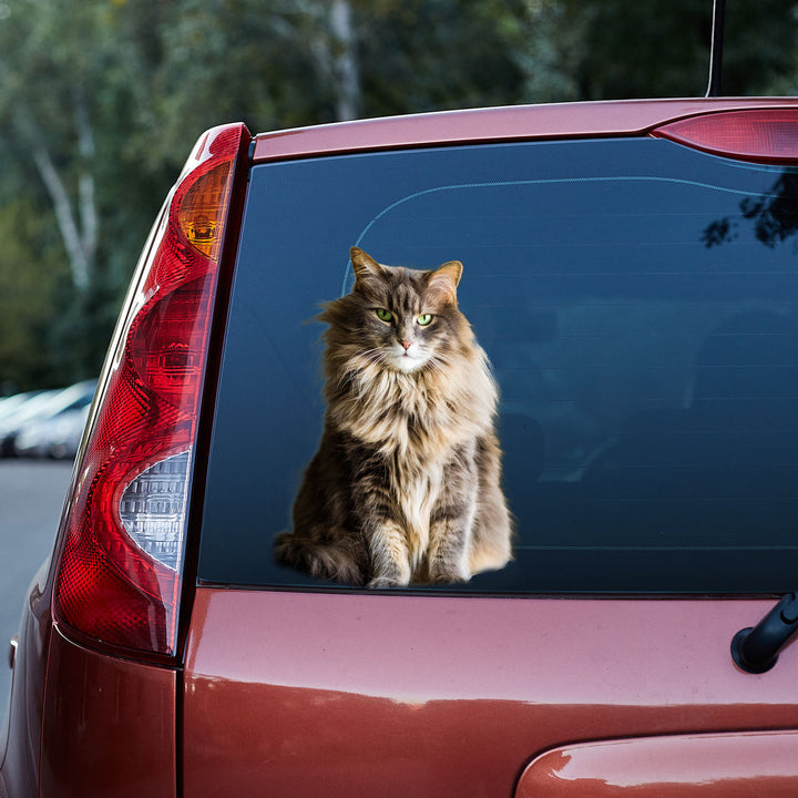 Pretty Ragdoll Cat 3D Vinyl Car Decal Sticker