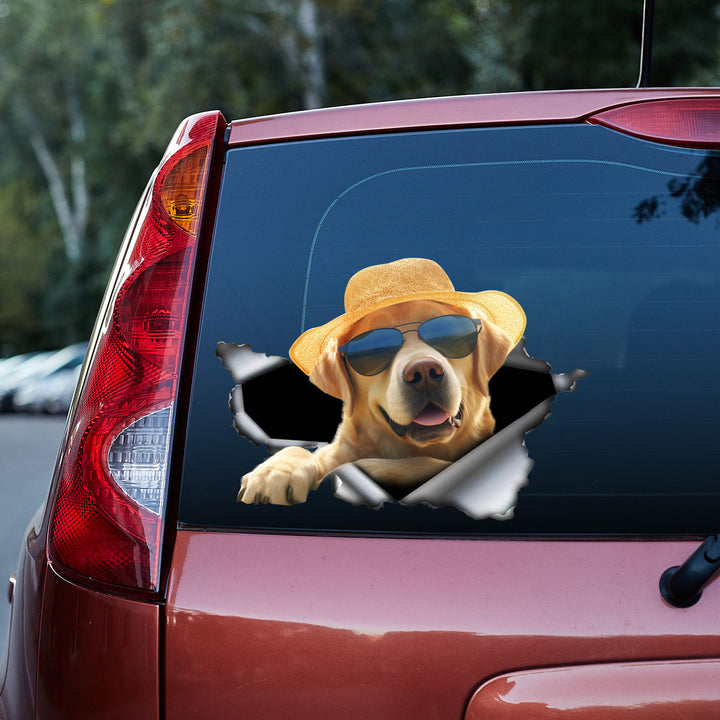 Aloha Funny Dog With Sunglasses  3D Vinyl Car Decal Stickers CS8041