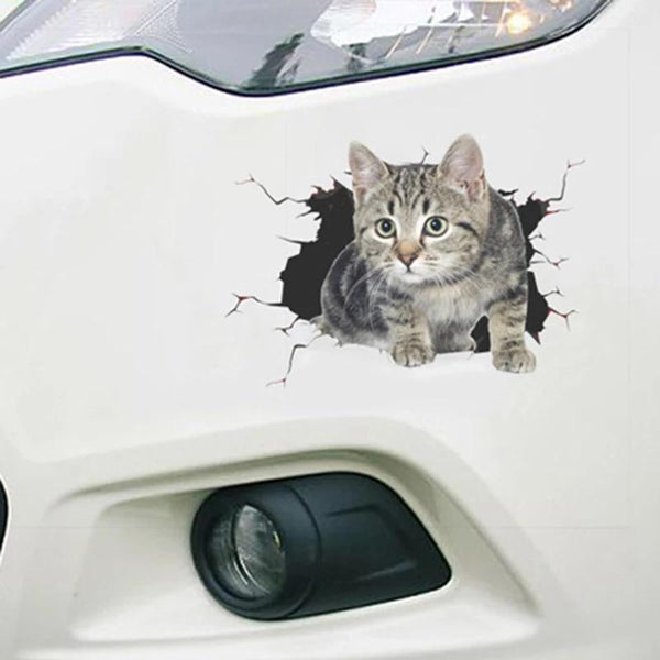 Cat Cracked Car Decal Sticker | Waterproof | PVC Vinyl | CCS1993