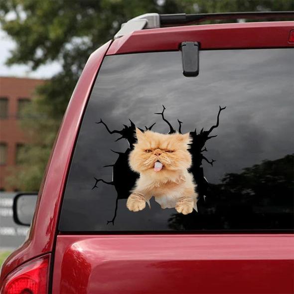 Cats Cracked Car Decal Sticker | Waterproof | PVC Vinyl | CCS1956