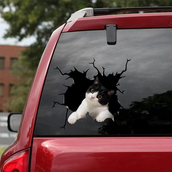 Cats Lover Cracked Car Decal Sticker | Waterproof | PVC Vinyl | CCS2069