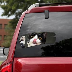 Cats Lover Car Decal Sticker | Waterproof | PVC Vinyl | CS1339