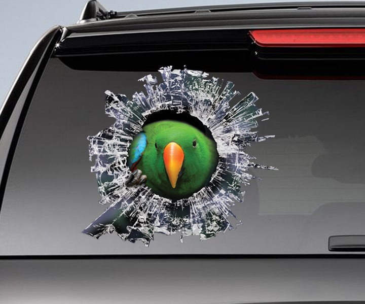 Funny Eclectus Roratus Parrot 3D Vinyl Car Decal Stickers CCS2966