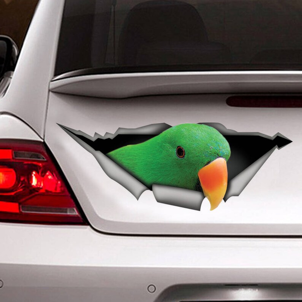 Funny Eclectus Roratus Parrot 3D Vinyl Car Decal Stickers CCS2958