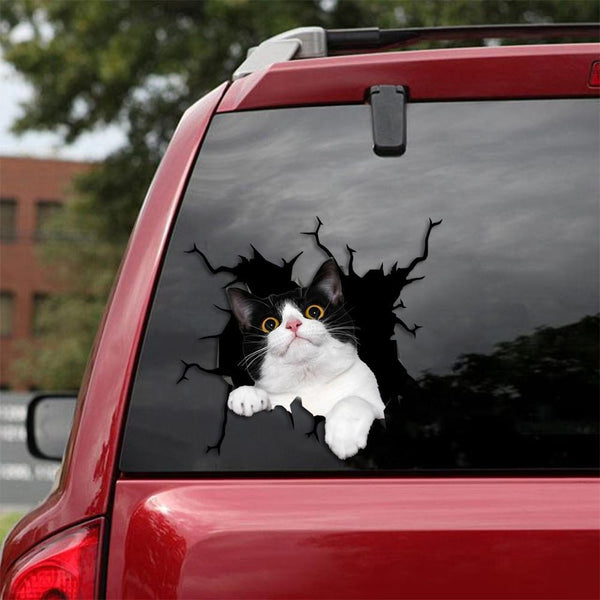 Cats Lover Cracked Car Decal Sticker | Waterproof | PVC Vinyl | CCS2074