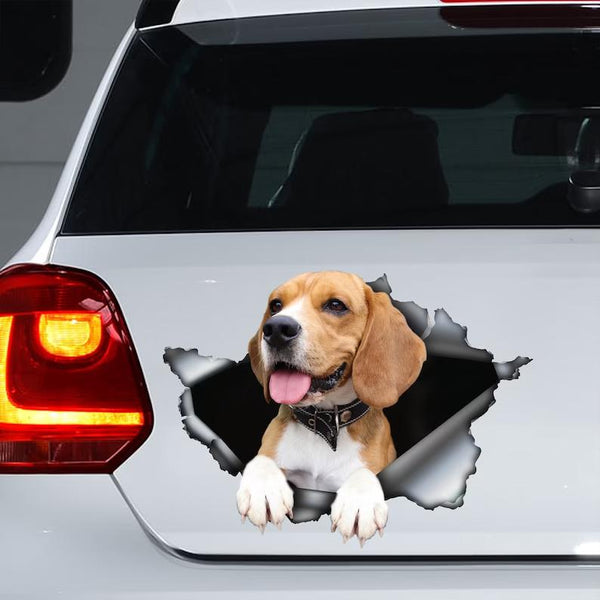Funny Beagle Cracked Car Decal Sticker | Waterproof | PVC Vinyl | CCS2556-Colorful-Gerbera Prints.
