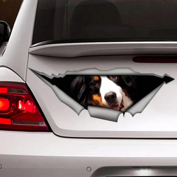 Bernese Mountain Dog Cracked Car Decal Sticker | Waterproof | PVC Vinyl | CCS2543