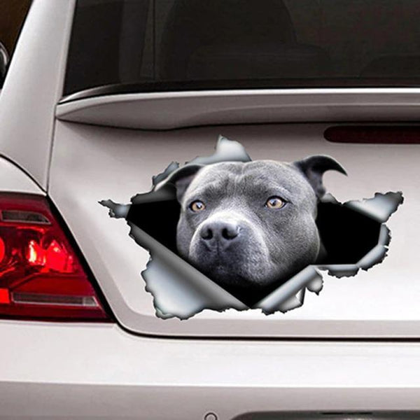 Blue Pitbull Gog Cracked Car Decal Sticker | Waterproof | PVC Vinyl | CCS1362